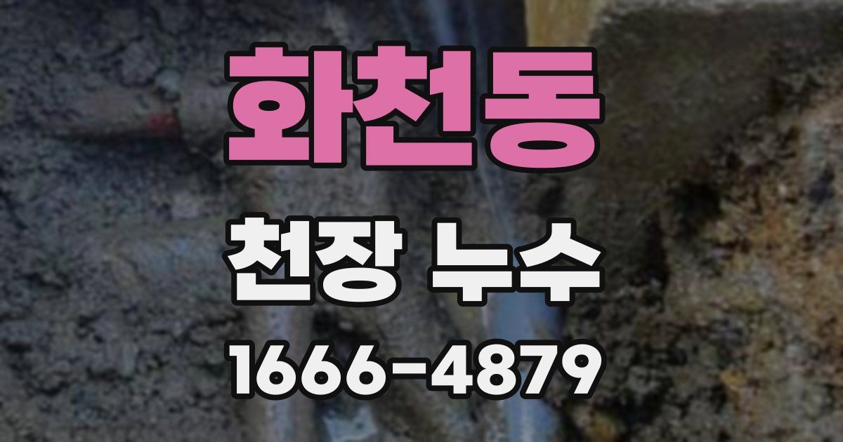 화천동 천장 누수