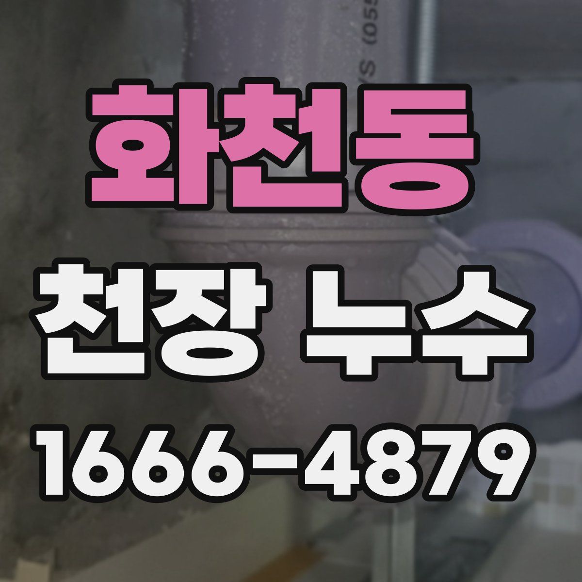 화천동 천장 누수