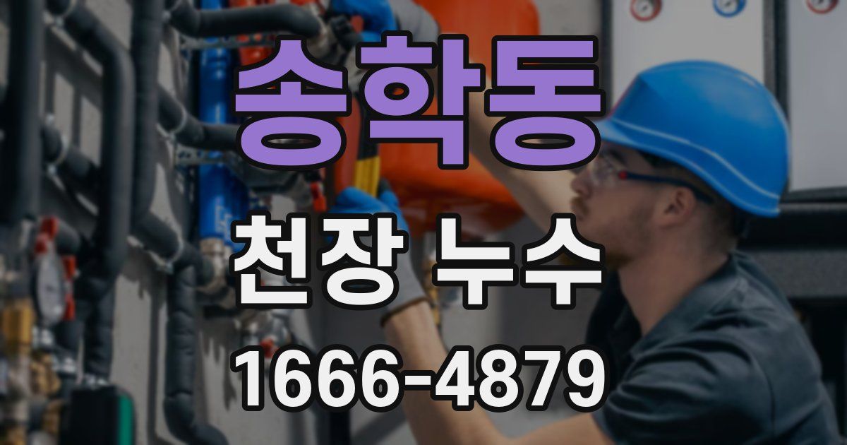 송학동 천장 누수