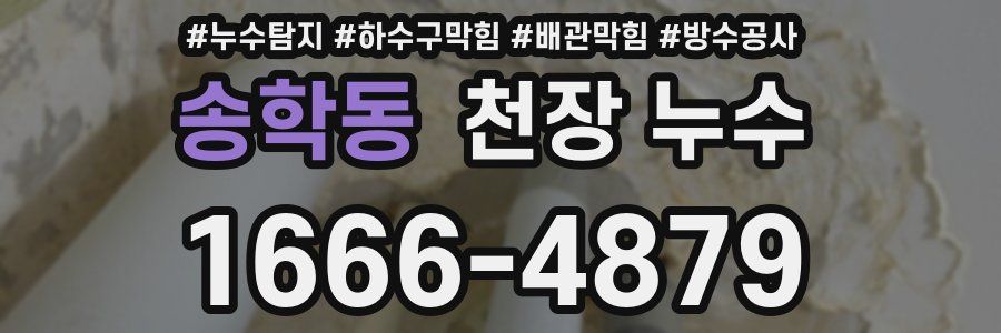 송학동 천장 누수