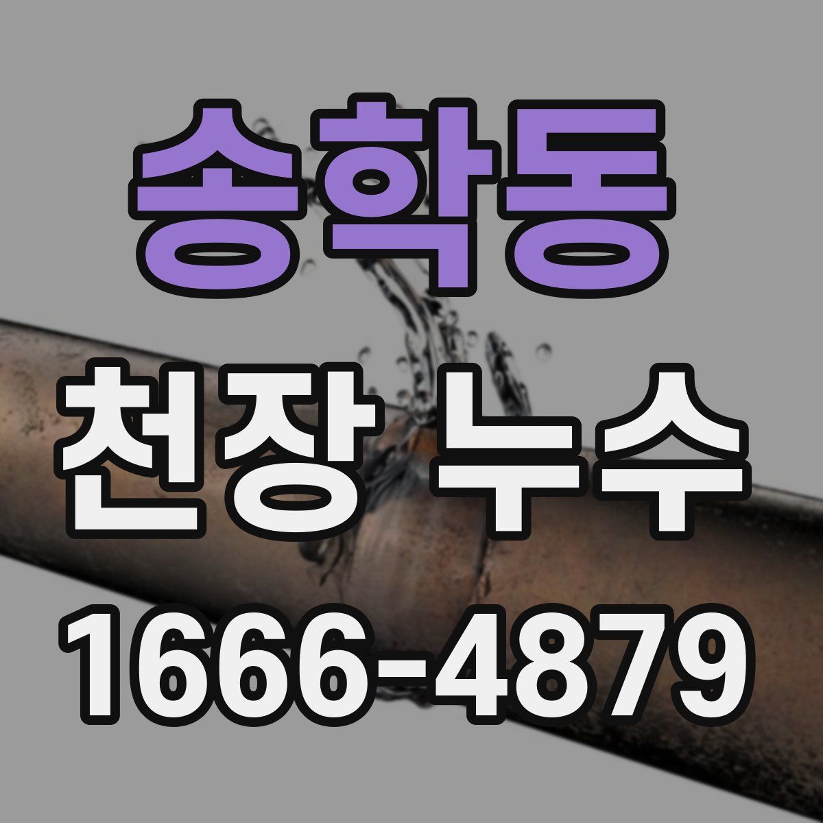 송학동 천장 누수