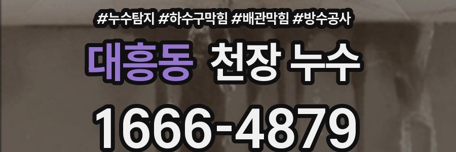 대흥동 천장 누수