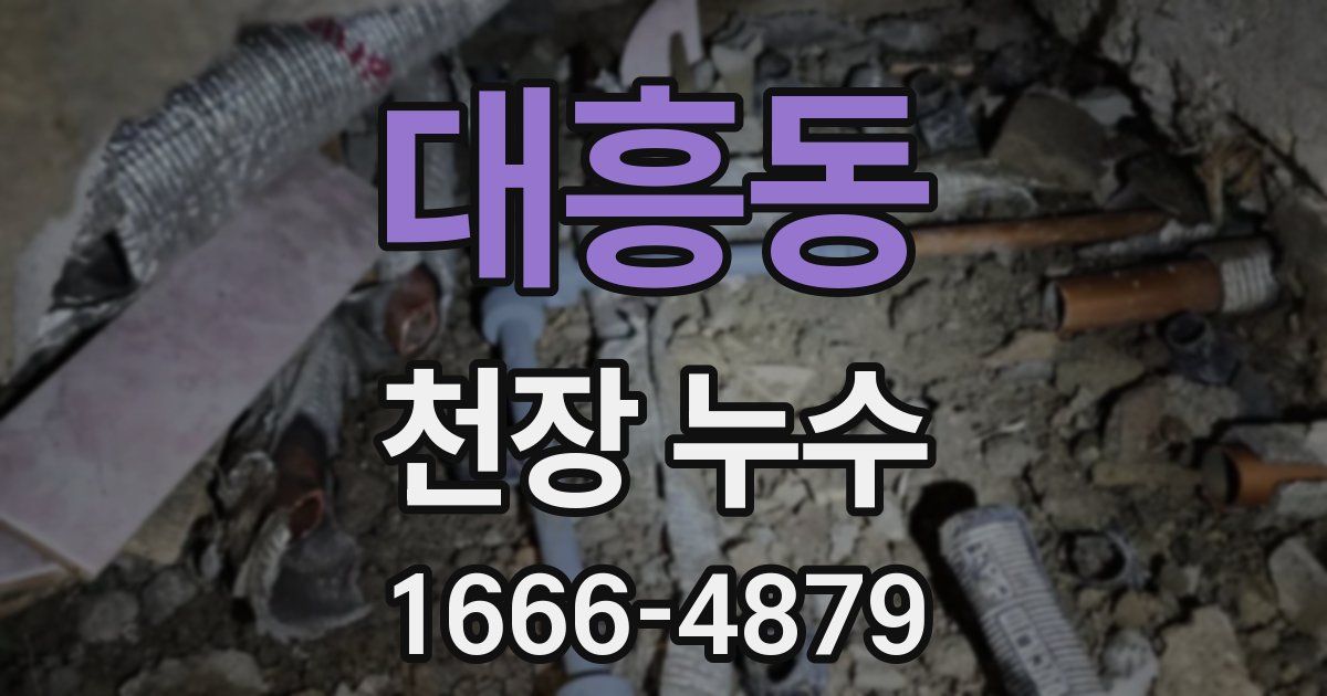 대흥동 천장 누수