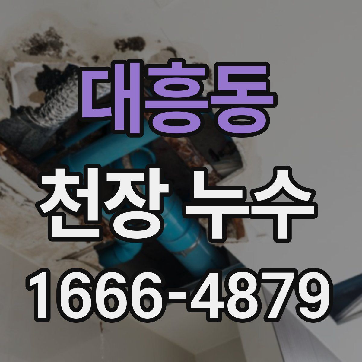대흥동 천장 누수