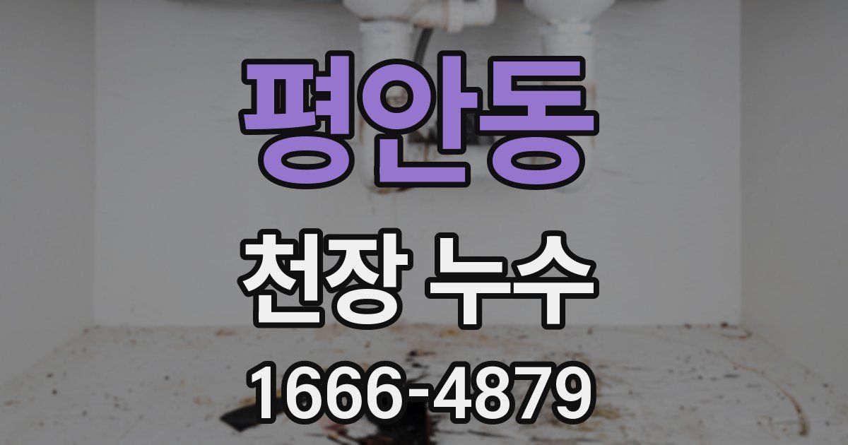 평안동 천장 누수