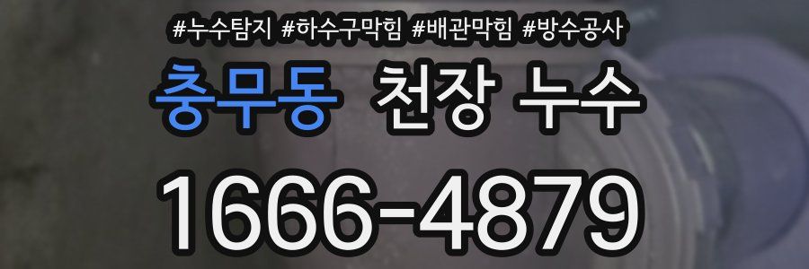 충무동 천장 누수