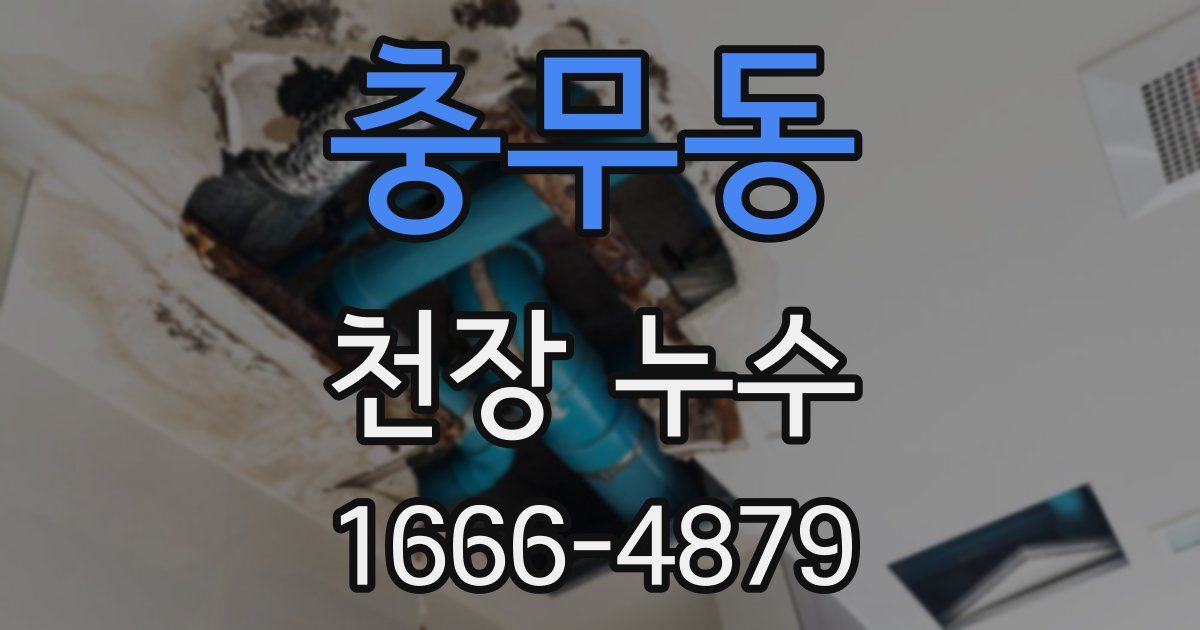 충무동 천장 누수