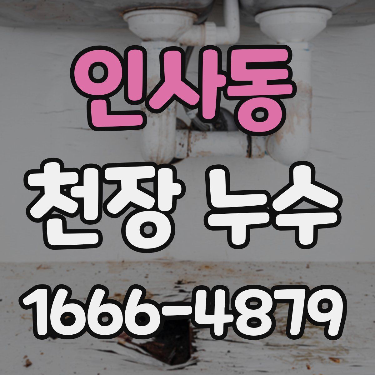 인사동 천장 누수