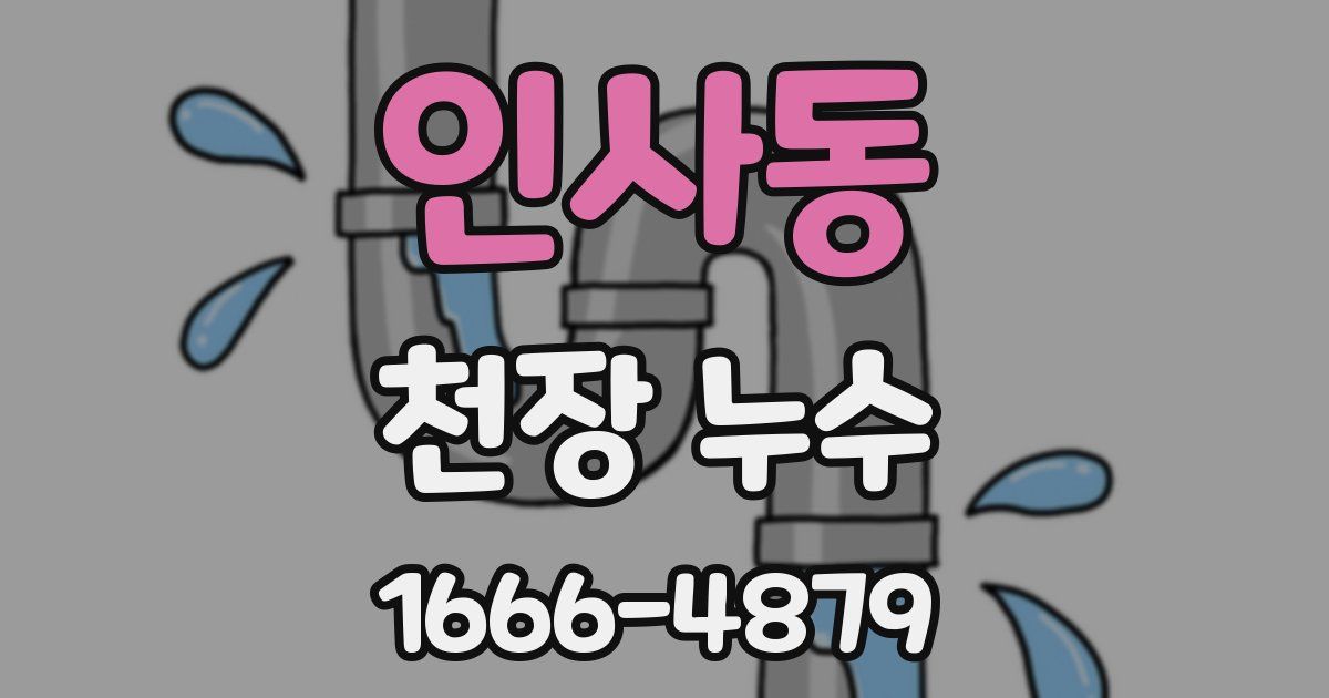 인사동 천장 누수