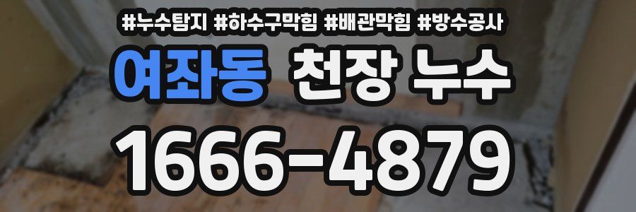 여좌동 천장 누수