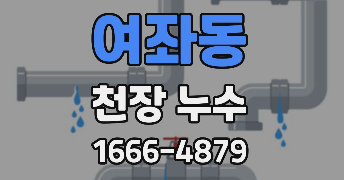 여좌동 천장 누수