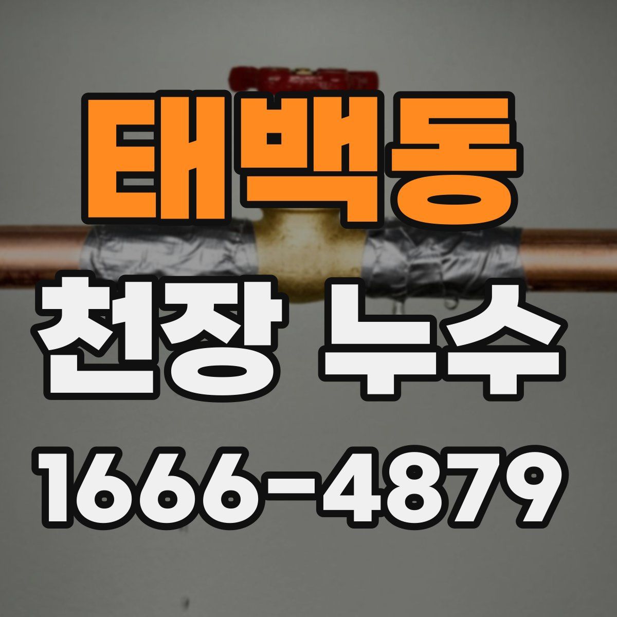 태백동 천장 누수