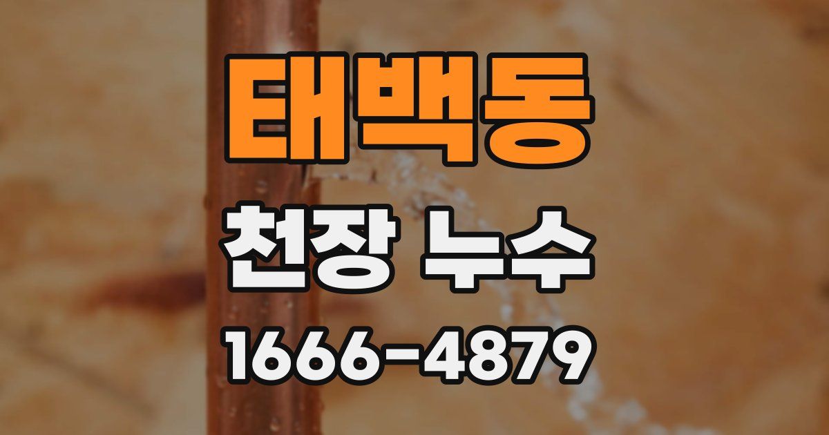 태백동 천장 누수