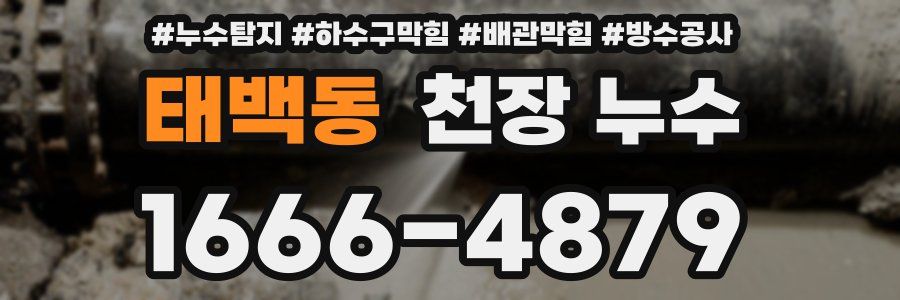 태백동 천장 누수
