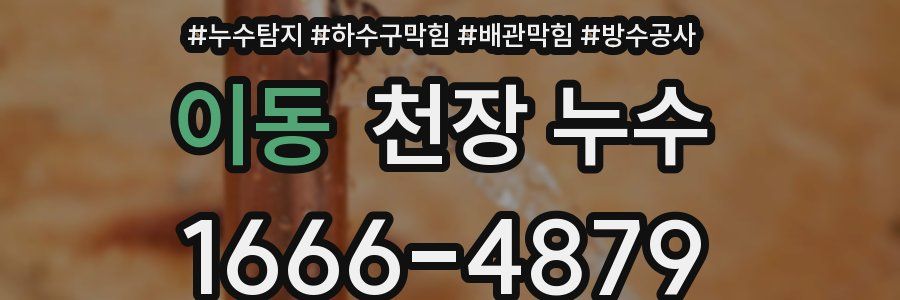 이동 천장 누수