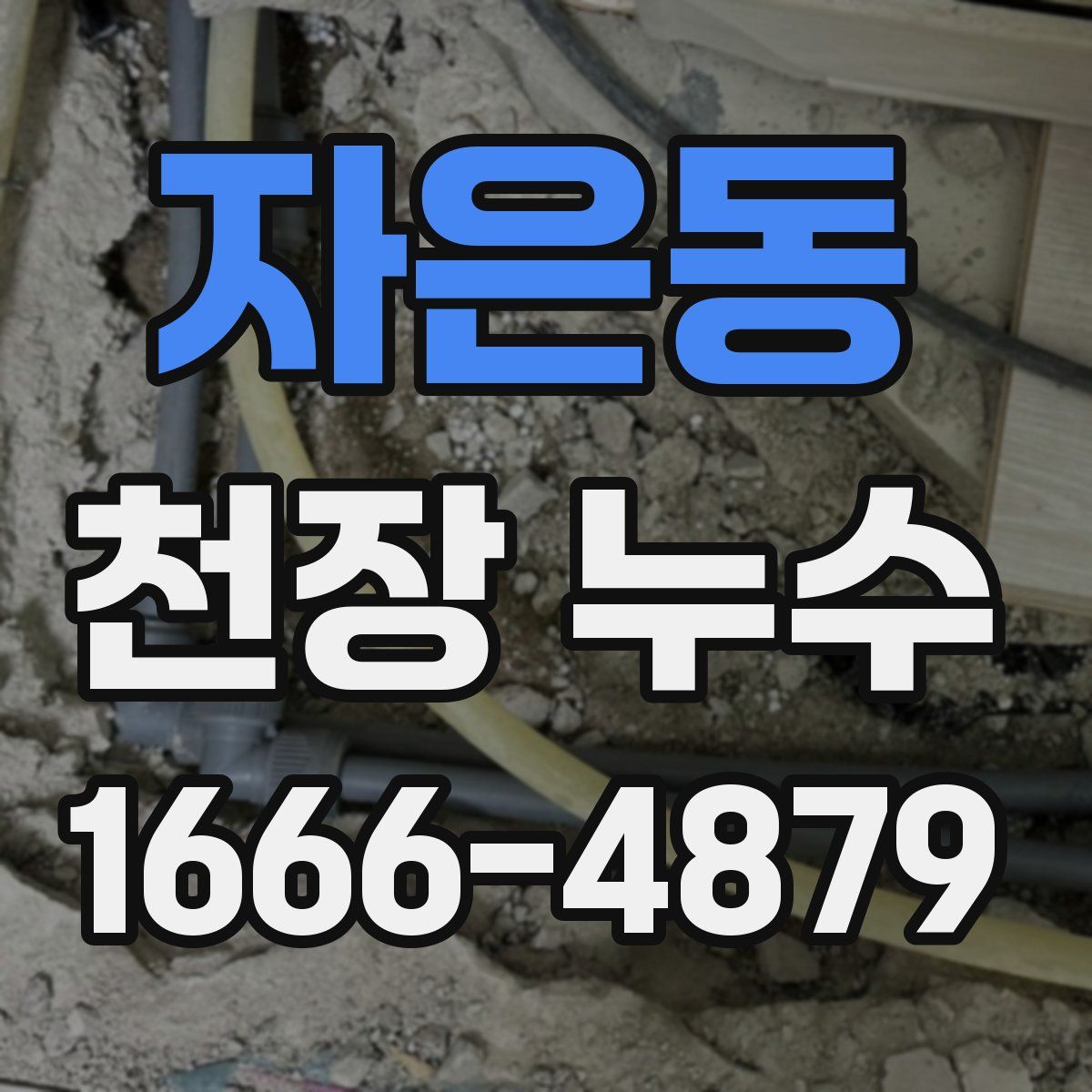 자은동 천장 누수