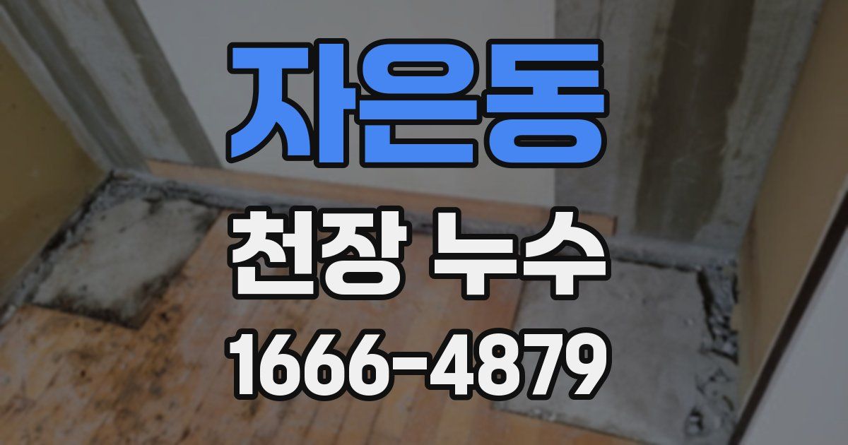 자은동 천장 누수