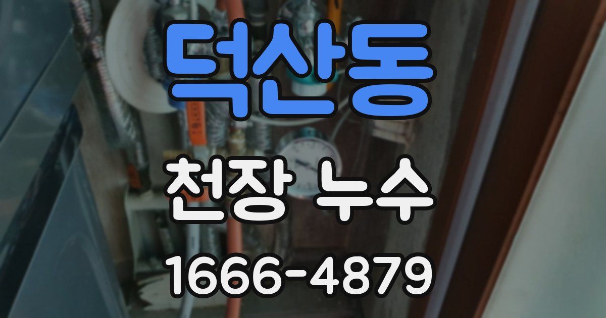 덕산동 천장 누수