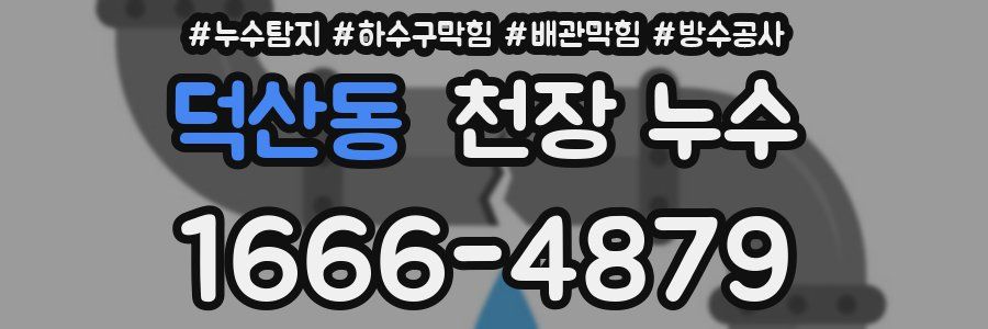 덕산동 천장 누수