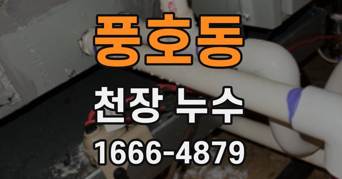 풍호동 천장 누수