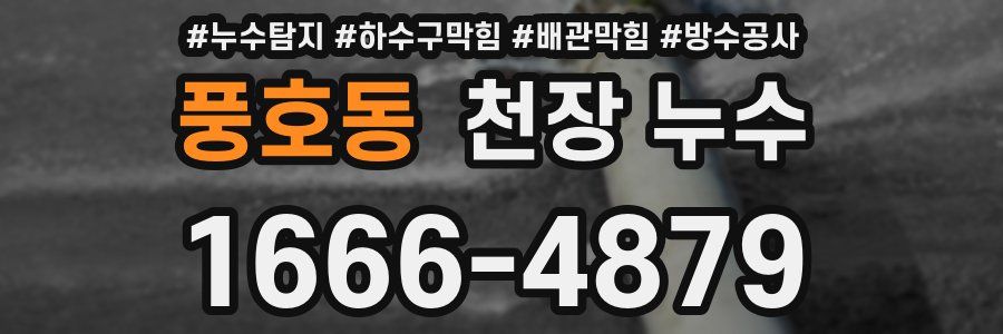 풍호동 천장 누수