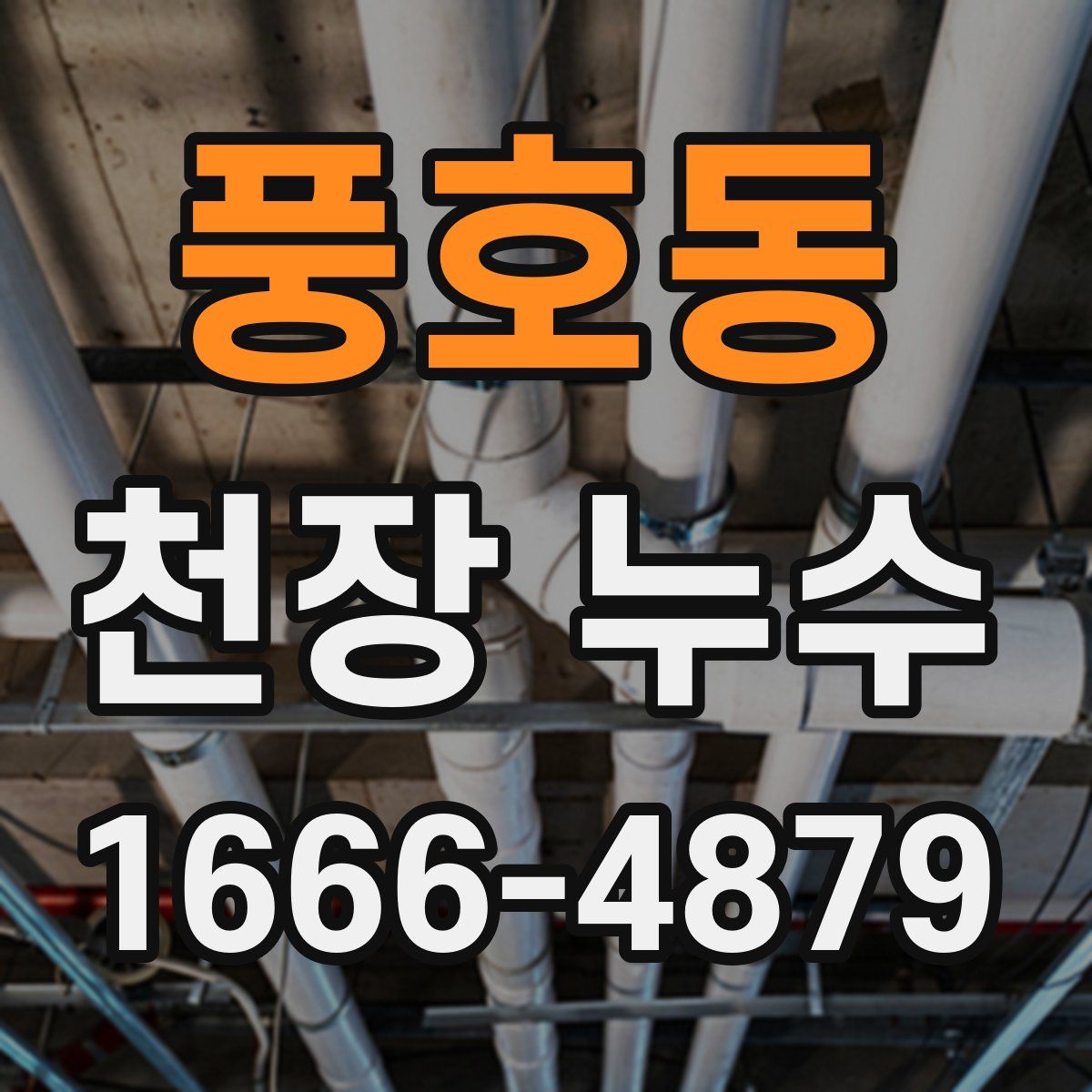 풍호동 천장 누수