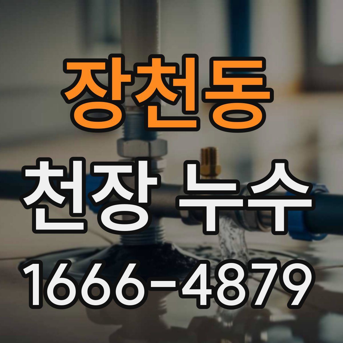 장천동 천장 누수