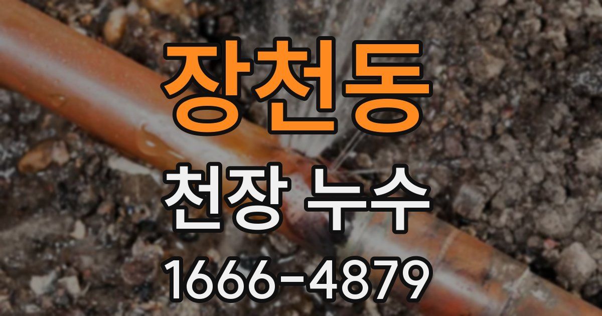 장천동 천장 누수