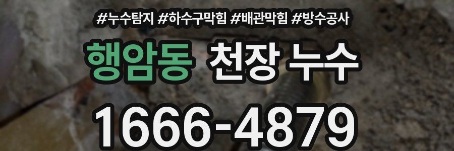 행암동 천장 누수