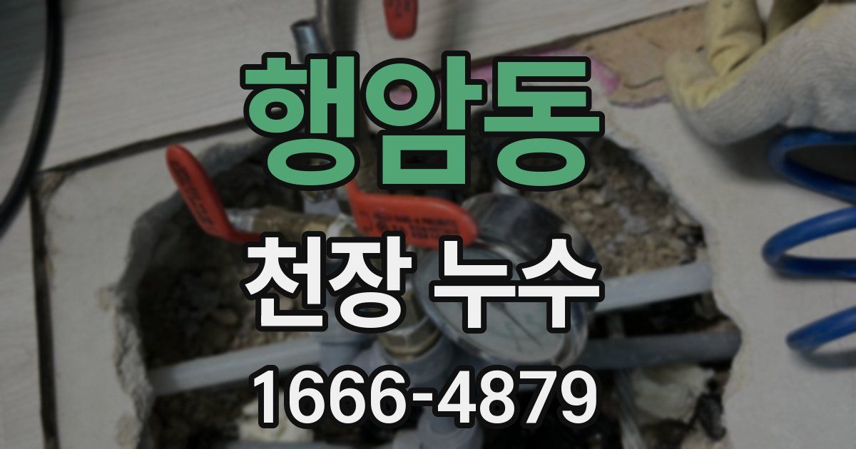 행암동 천장 누수