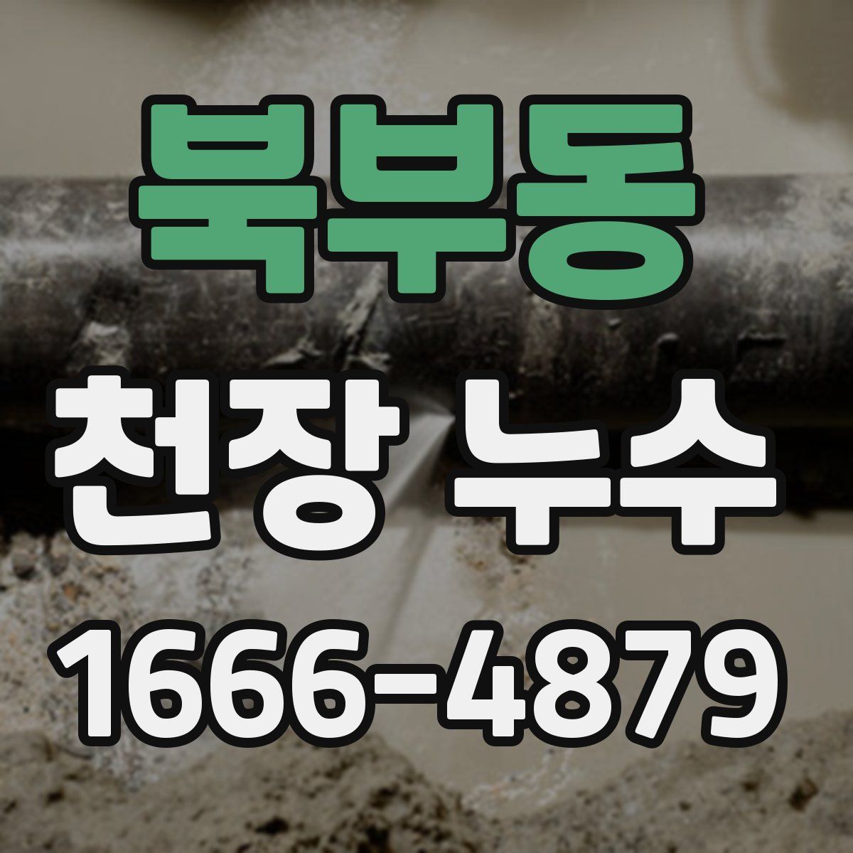 북부동 천장 누수