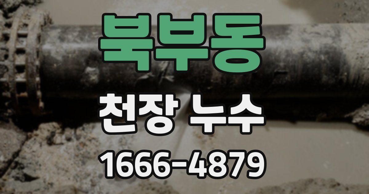 북부동 천장 누수