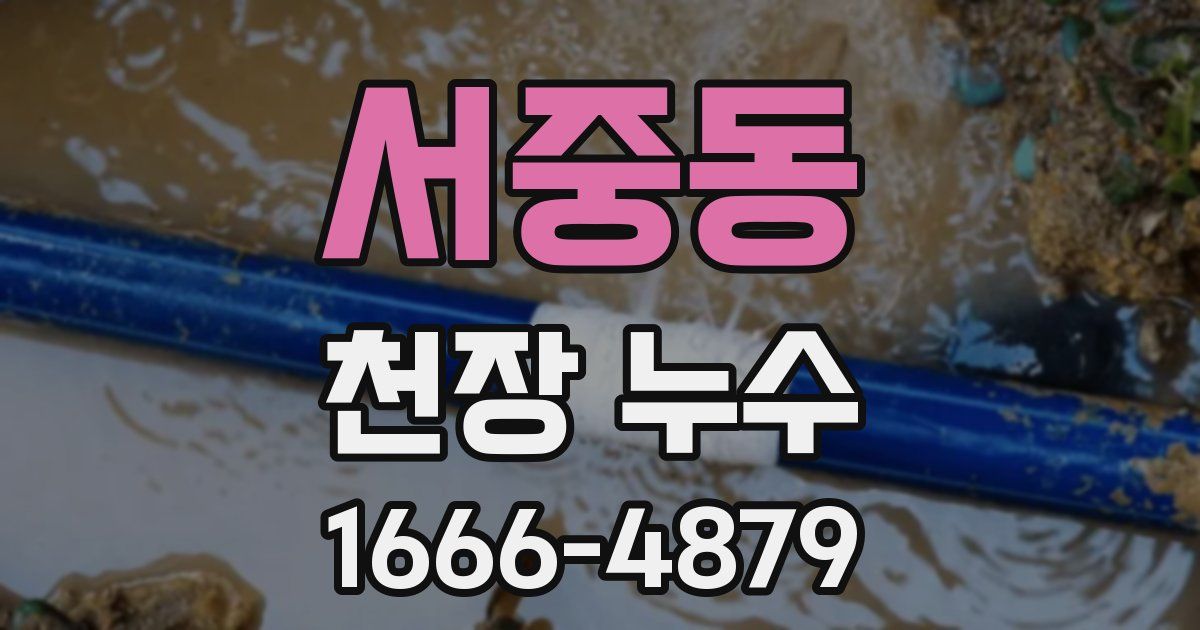 서중동 천장 누수