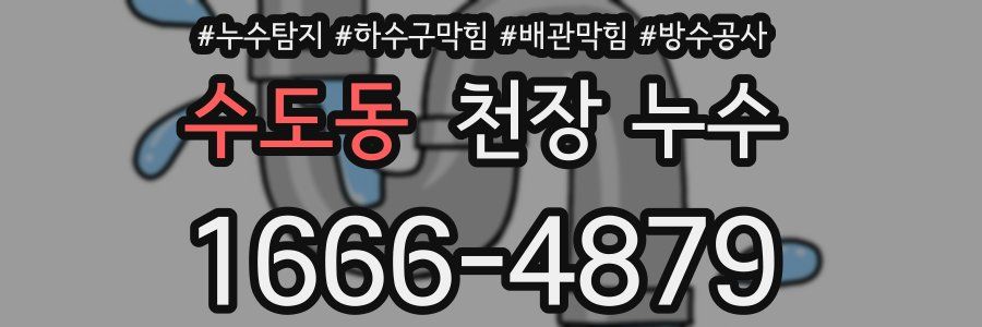 수도동 천장 누수
