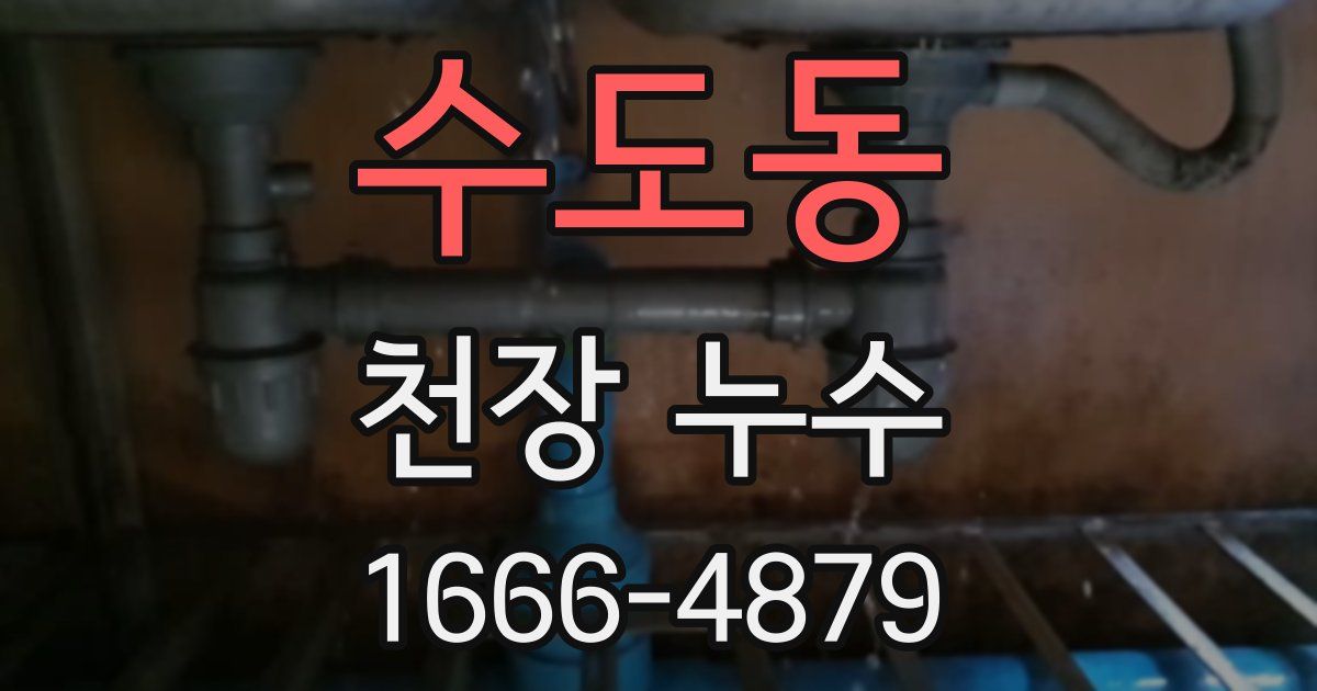 수도동 천장 누수