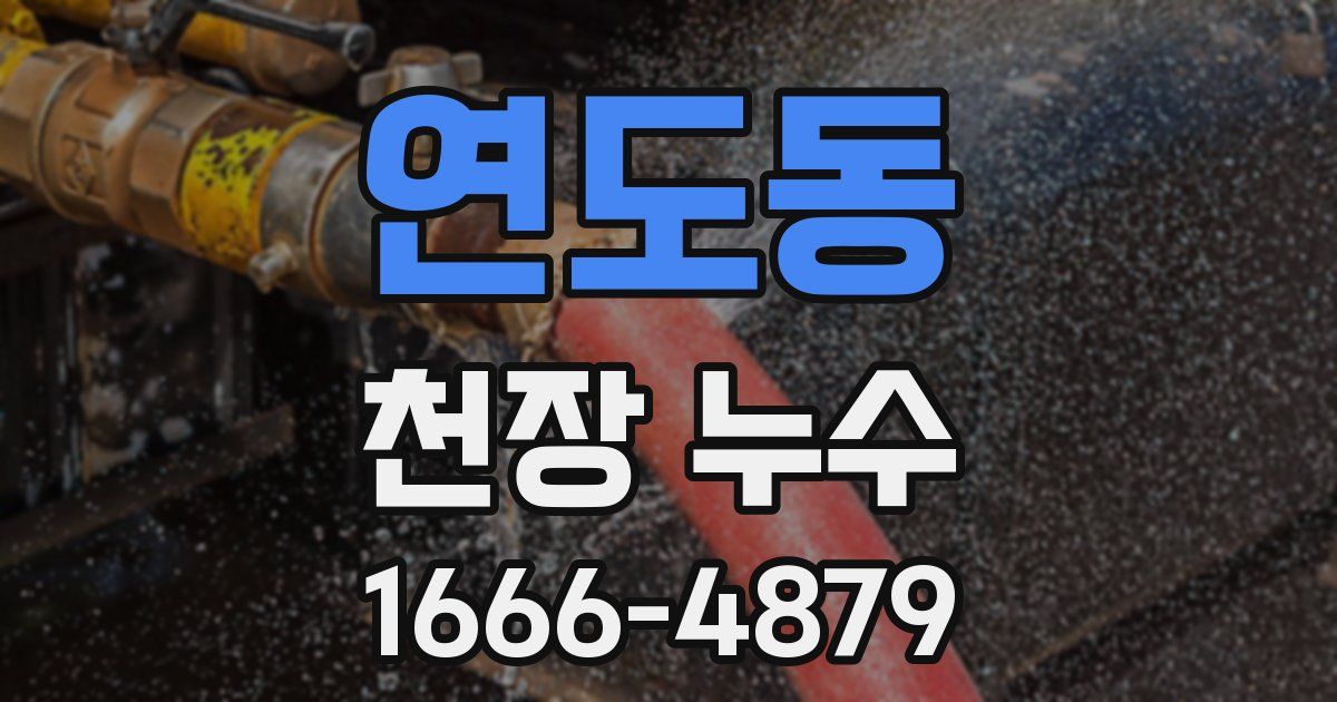 연도동 천장 누수