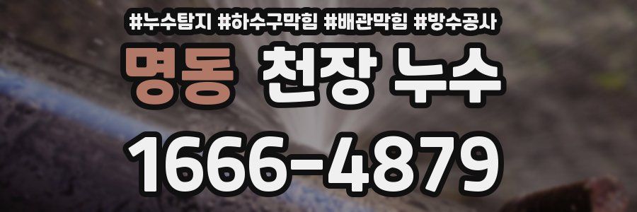 명동 천장 누수