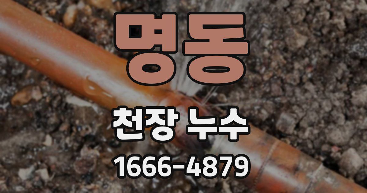 명동 천장 누수