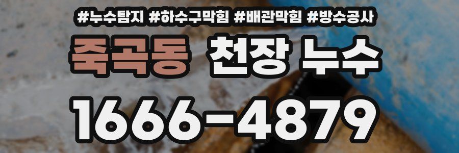 죽곡동 천장 누수
