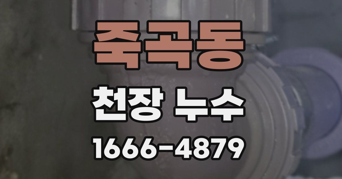 죽곡동 천장 누수