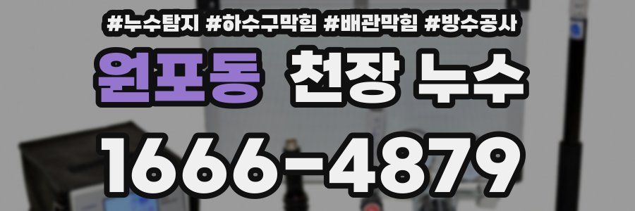 원포동 천장 누수