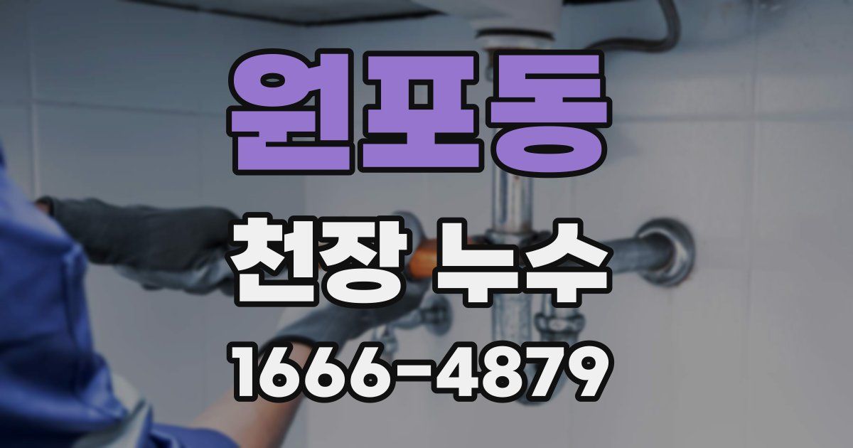 원포동 천장 누수