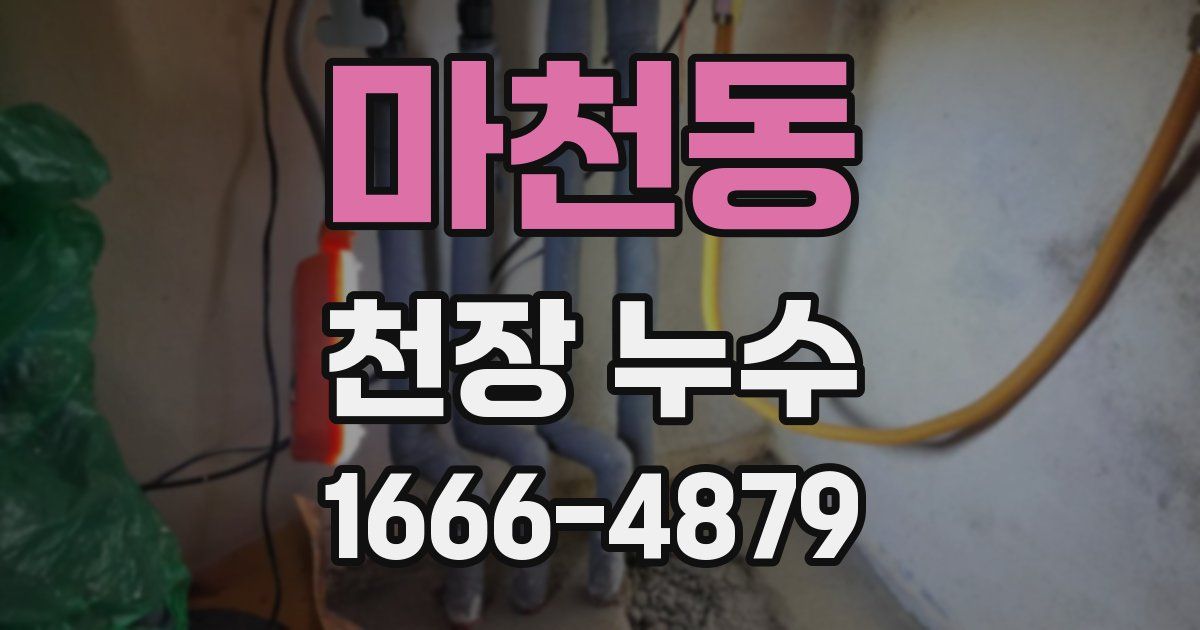 마천동 천장 누수
