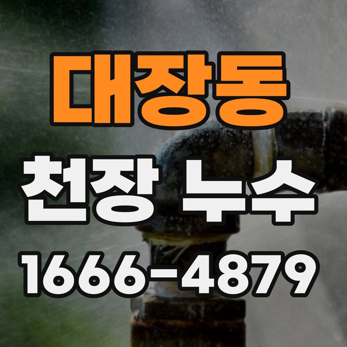 대장동 천장 누수