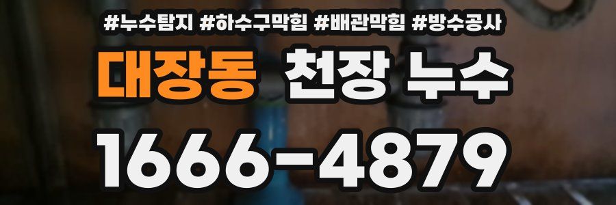 대장동 천장 누수