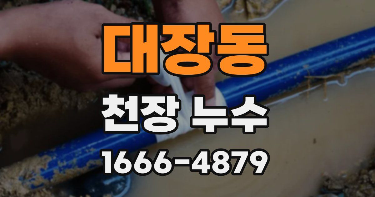 대장동 천장 누수