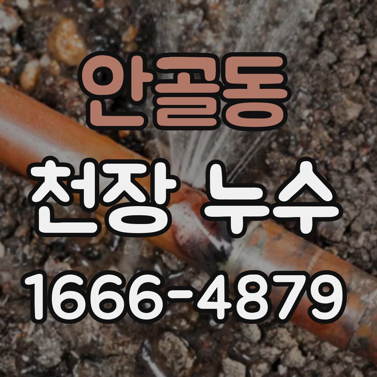 안골동 천장 누수