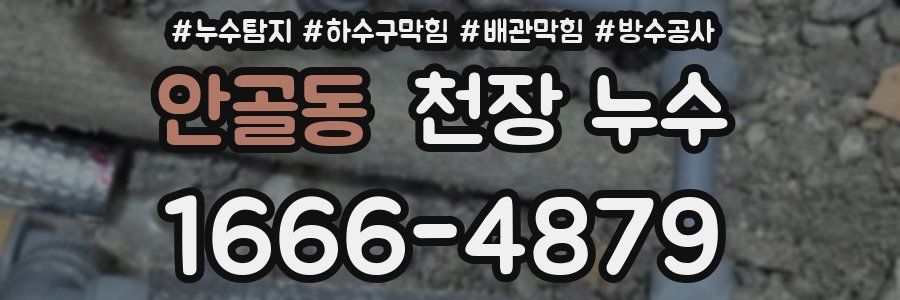 안골동 천장 누수