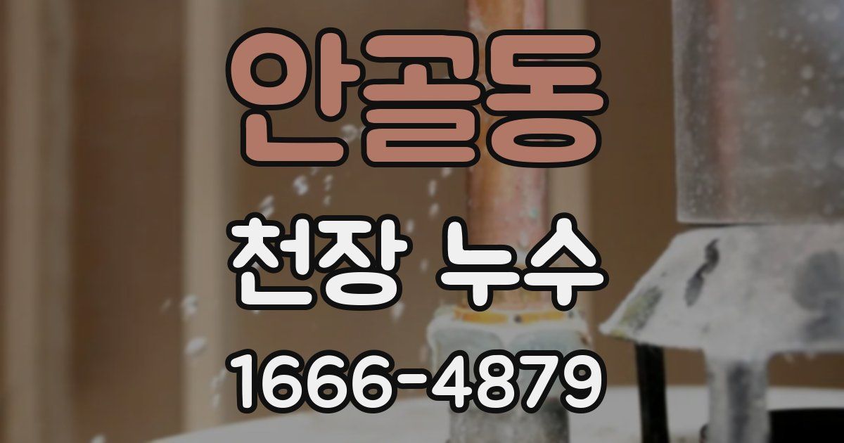 안골동 천장 누수