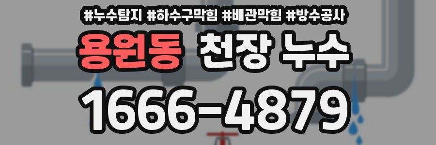 용원동 천장 누수